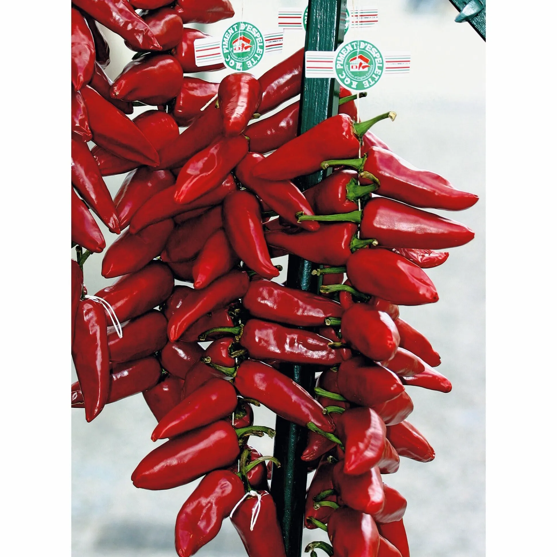 Bio-Piment d’Espelette