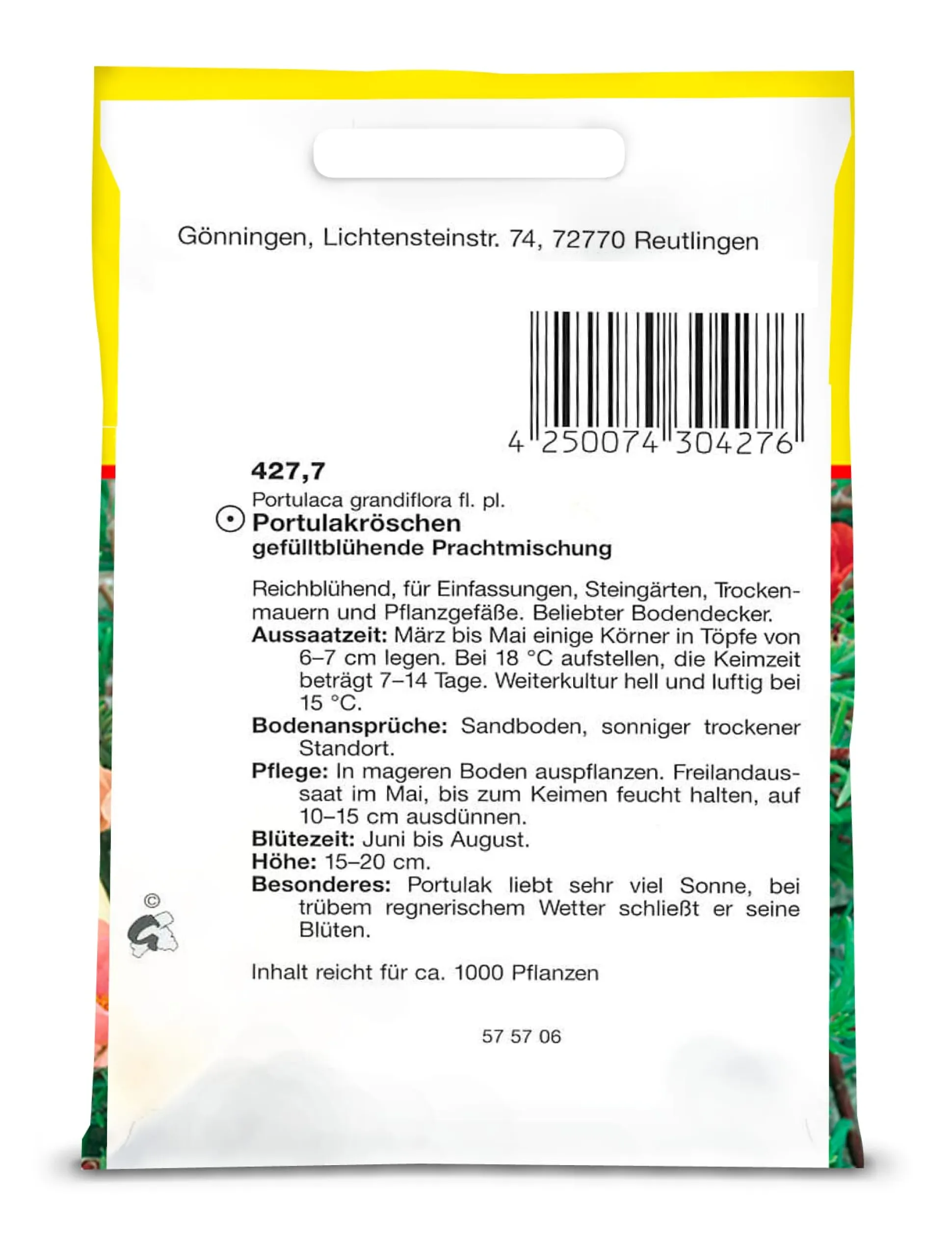 Blumensamen für trockene heiße Plätze
