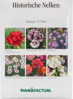 Blumensamen Historische Nelken