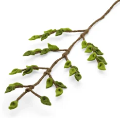 Buchenzweig Filz
