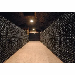 Champagner Rosé Brut