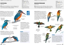 Das NABU-Vogelbuch