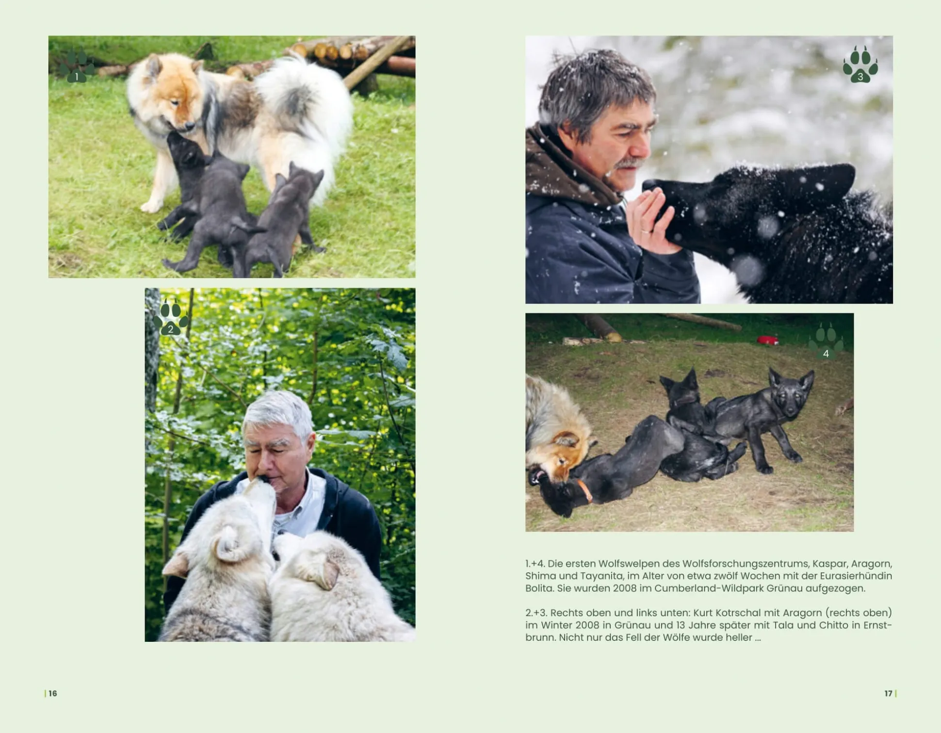 Der Wolf und wir