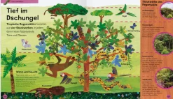 Die kleine Raupe Nimmersatt