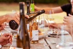 Dittelsheim Chardonnay