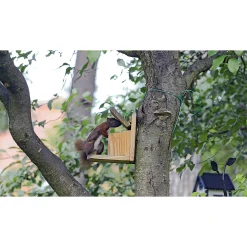 Eichhörnchen-Futterstation