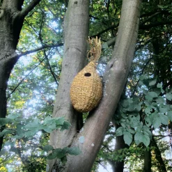 Eichhörnchenkobel Schilfgras