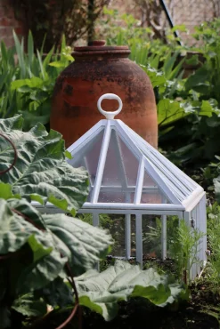 Englische Frühbeetglocke
