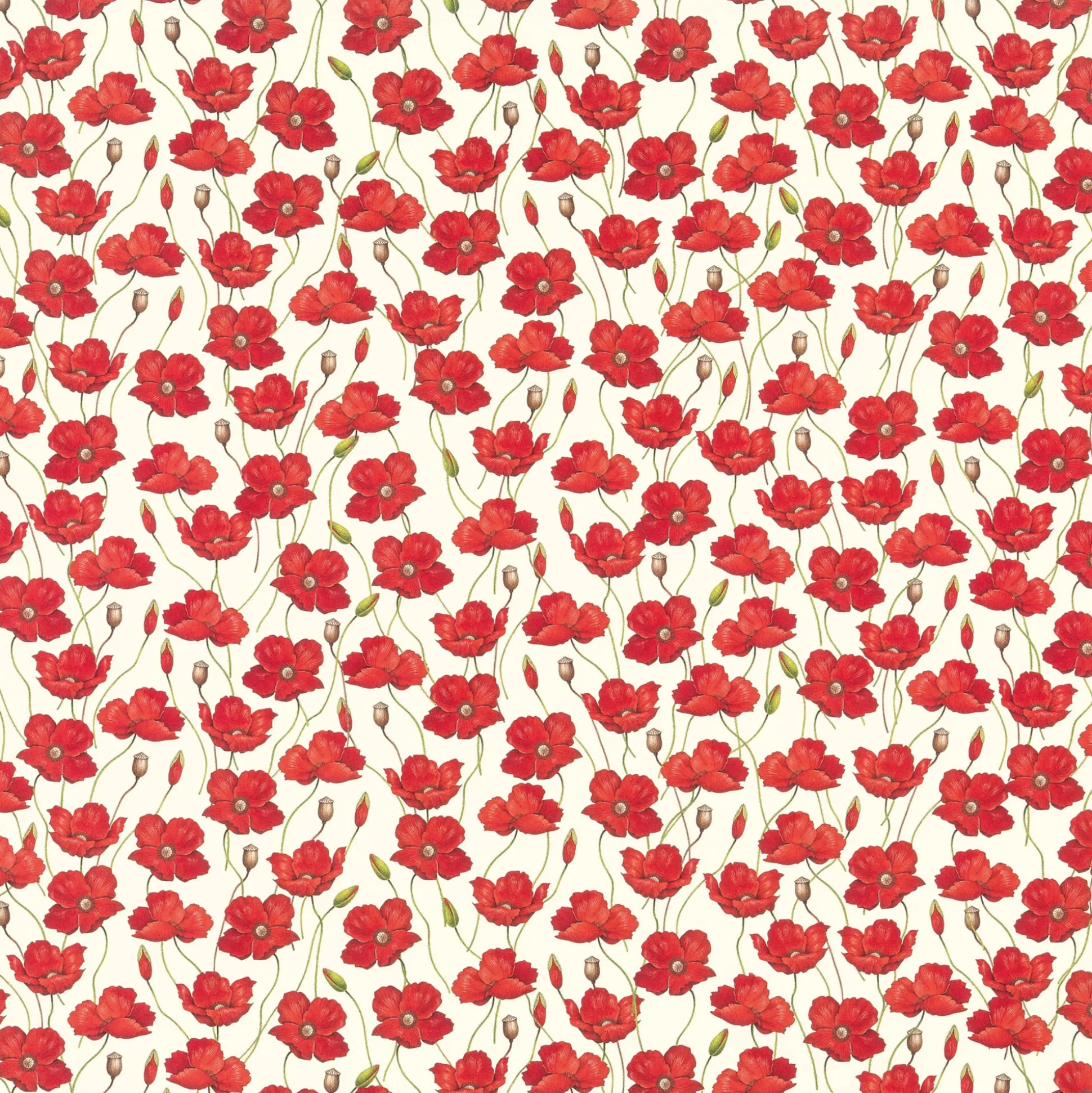 Florentiner Papier Pimpernellen