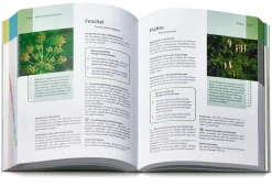 Grüne Apotheke. Das Standardwerk zur Pflanzenheilkunde Dr. Jörg Grünwald und Christof Jänicke