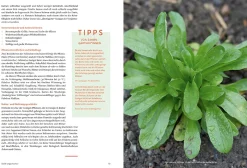 Handbuch Samengärtnerei