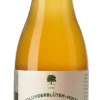 Holunderblüten-Minze-Sirup