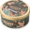 Ingwer mit Schokolade