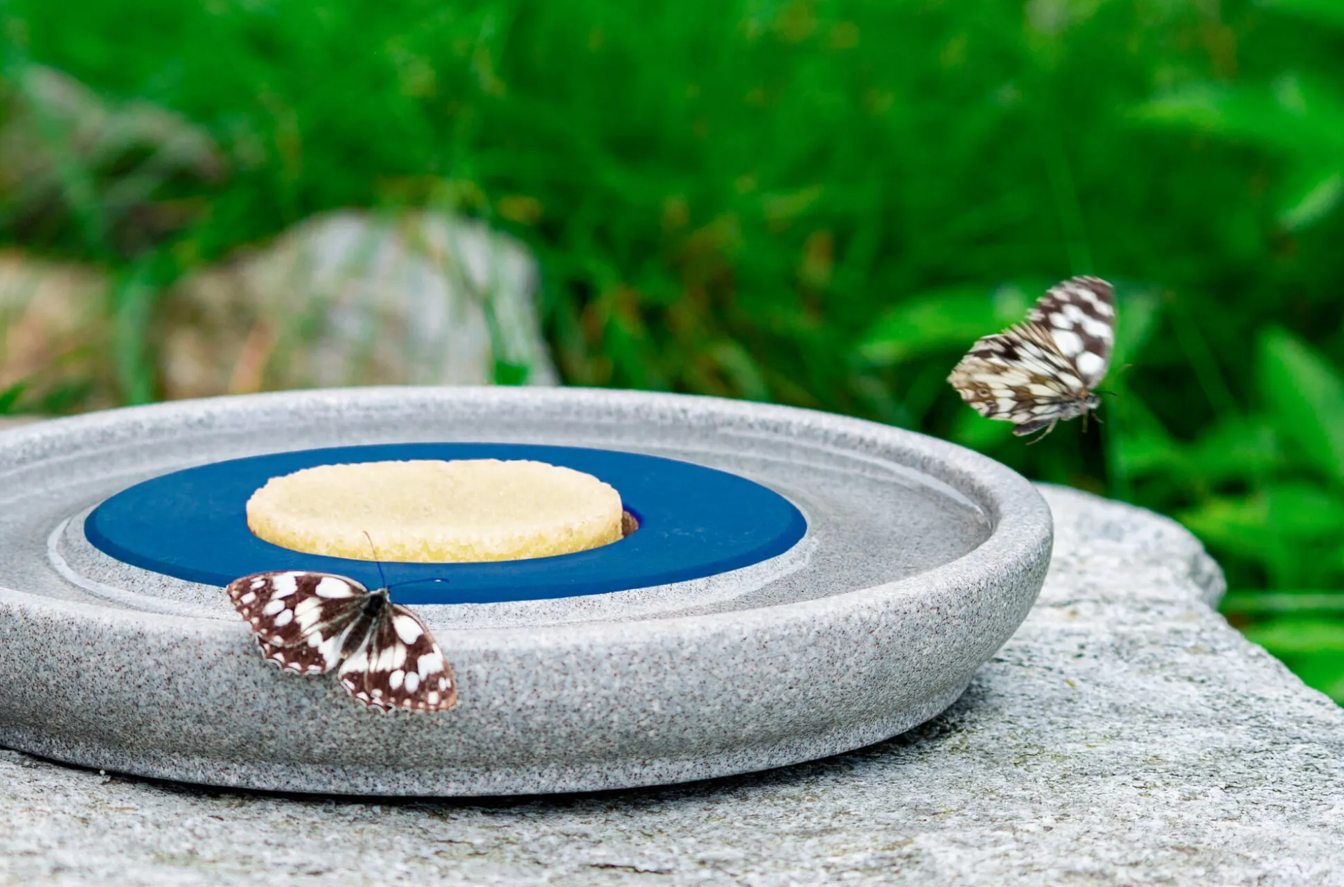 Insektenstation Granitkeramik