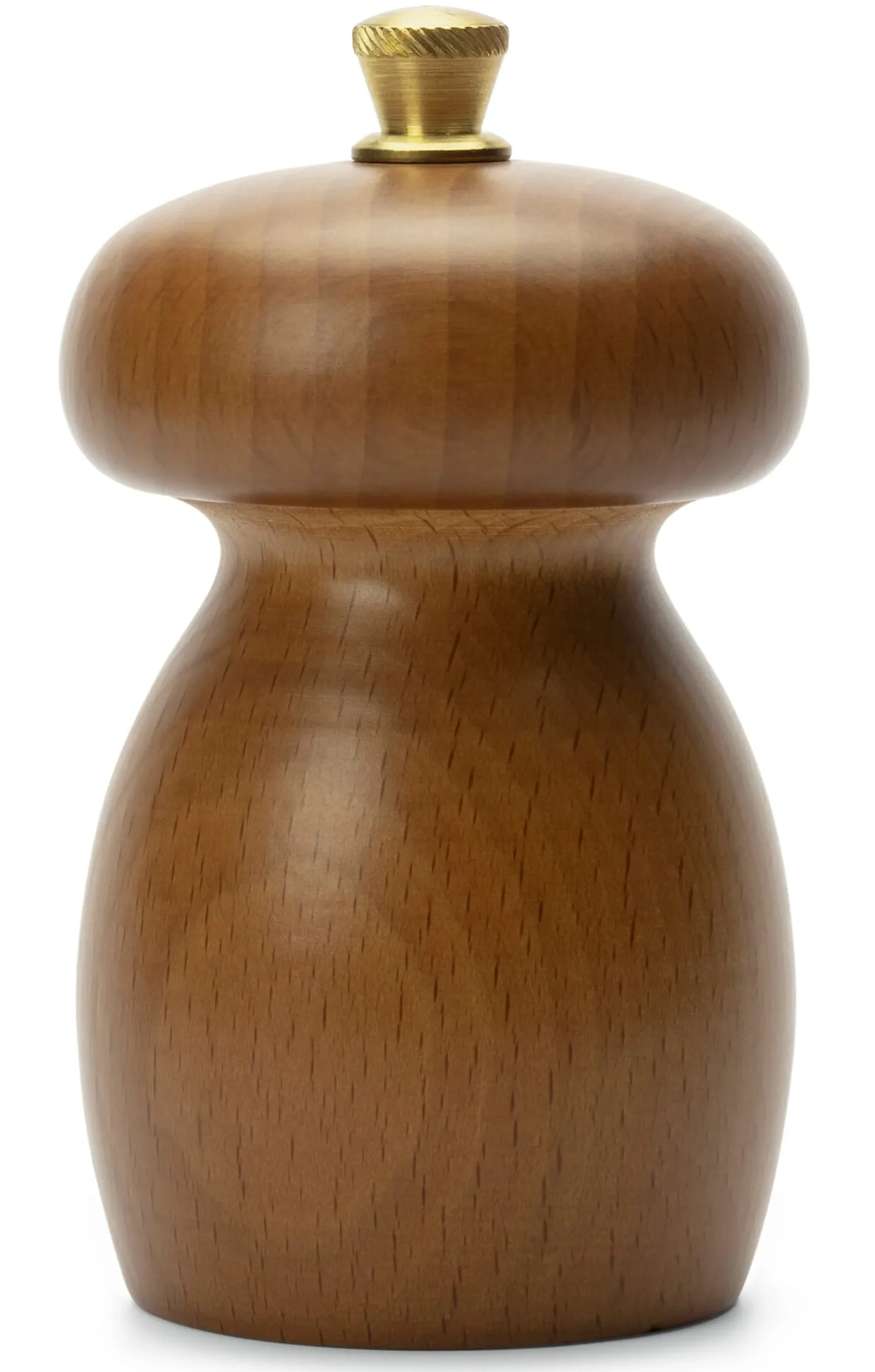 Italienische Gewürzmühle Fungus