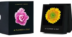 Jahreskalender Flamboyant Flowers