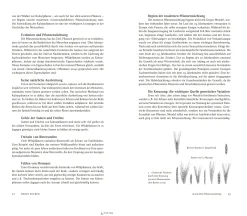 Journal Culinaire