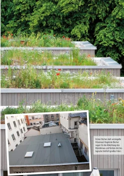 Klimafest und artenreich