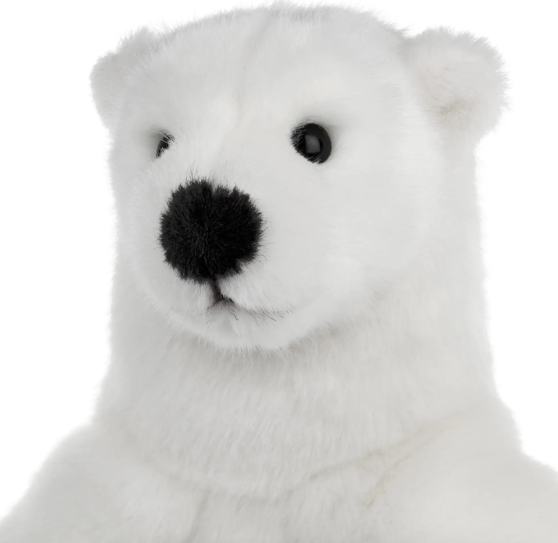Kösener Eisbär