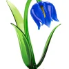 Lauschaer Glockenblume