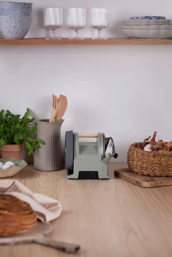 Messerschleifmaschine Tormek T-1