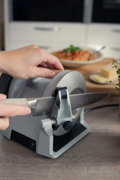 Messerschleifmaschine Tormek T-1