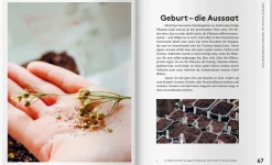 Mit Kaltanbau zu grünen Wundern