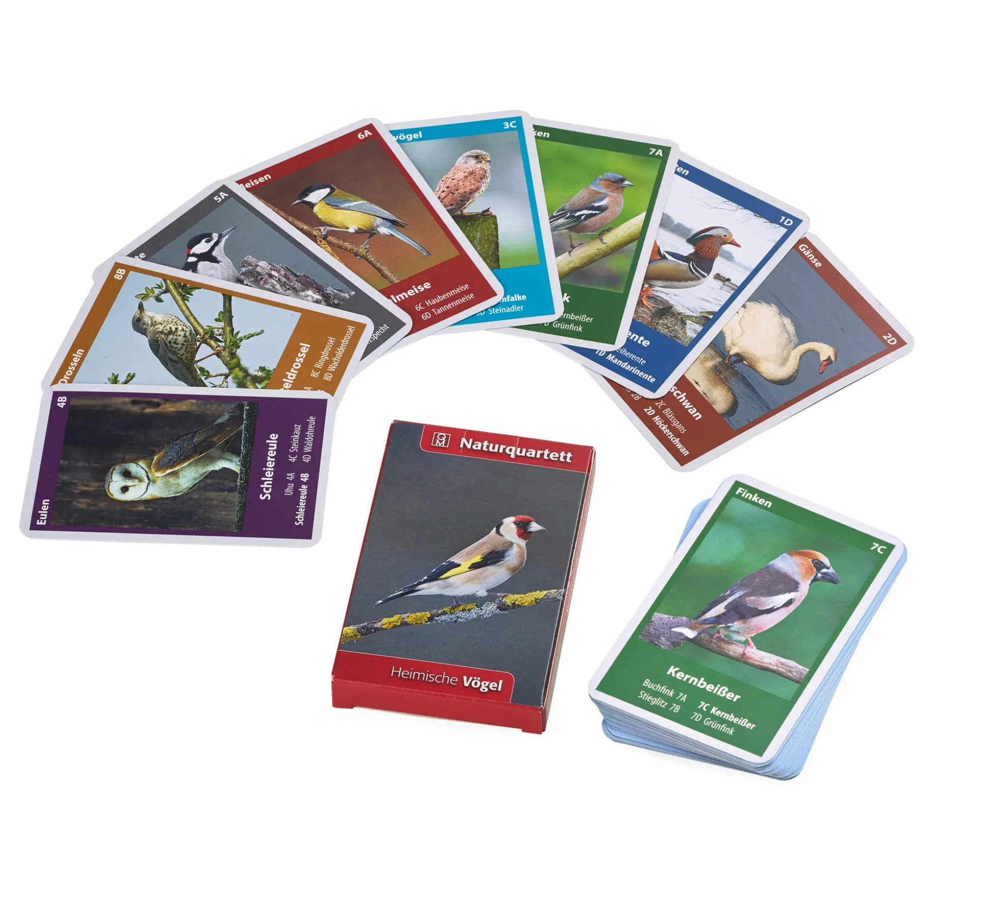 Naturquartett Heimische Vögel