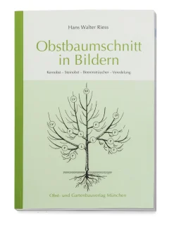 Obstbaumschnitt in Bildern