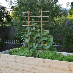 Rankgerüst für Beet und Hochbeet