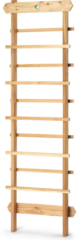 Rankobjekt Leiter