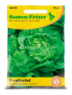 Saatgut Gemüse anbauen im Hochbeet – ideale Partner