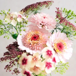 Saatgutkollektion für Blumensträuße