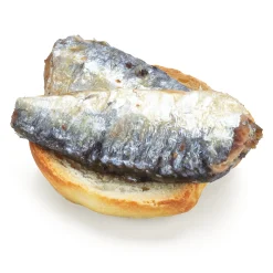 Sardinen in Olivenöl