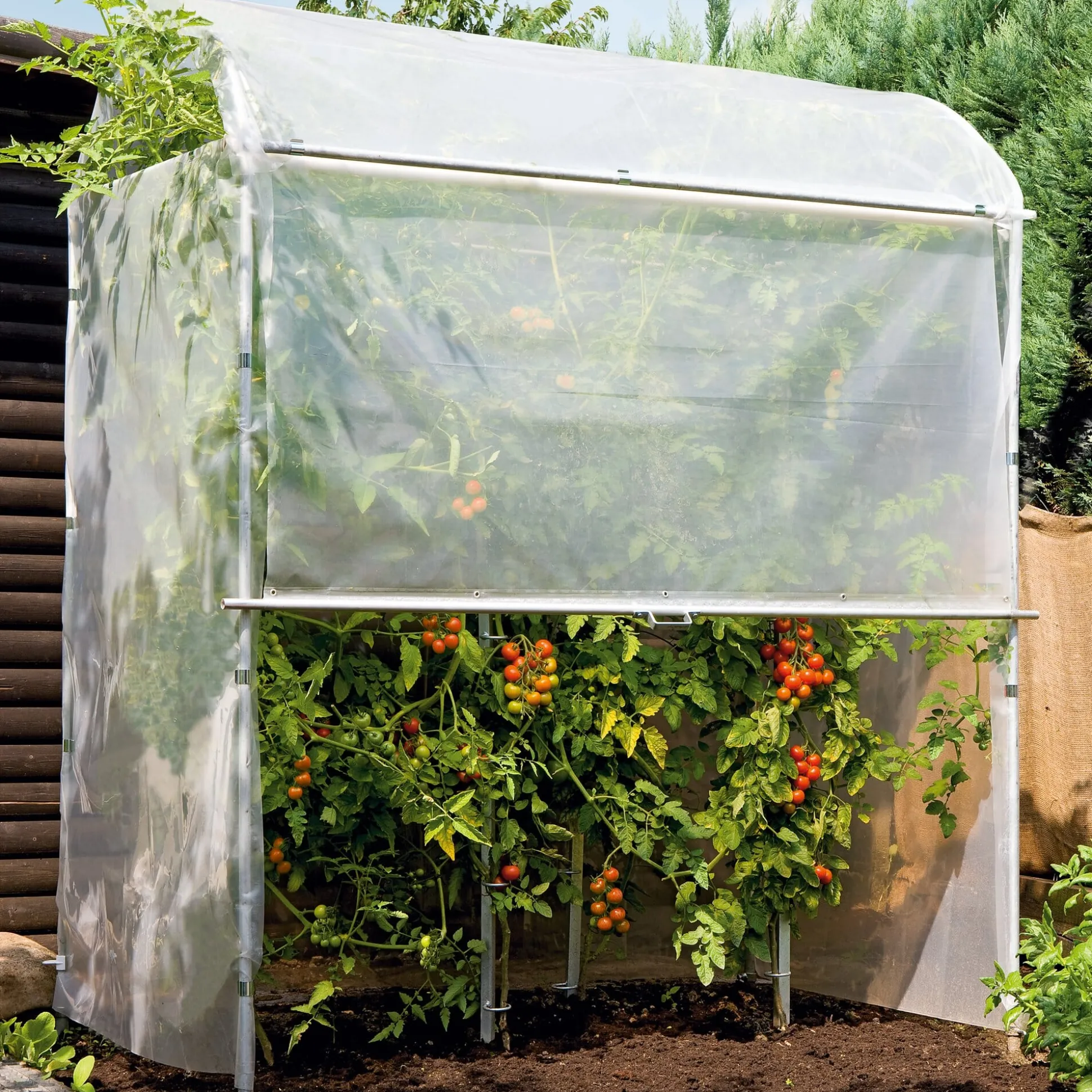 Tomatenhaus Stahlrahmen