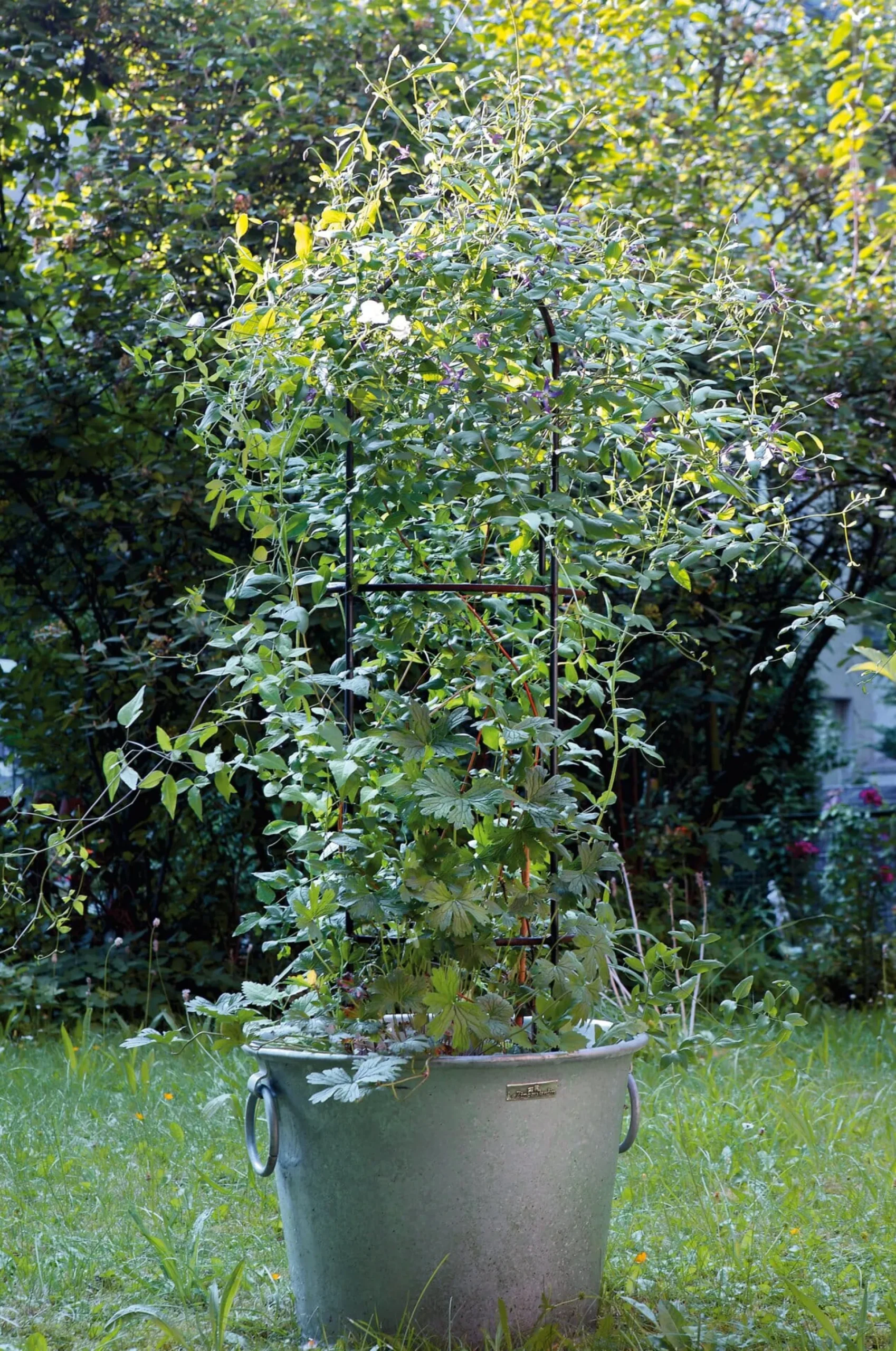 Topfobelisk Stahl
