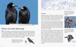 Unserer Natur auf der Spur