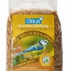Vogelfutter Sommermischung