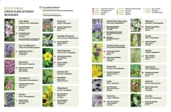 Wildbienenhelfer