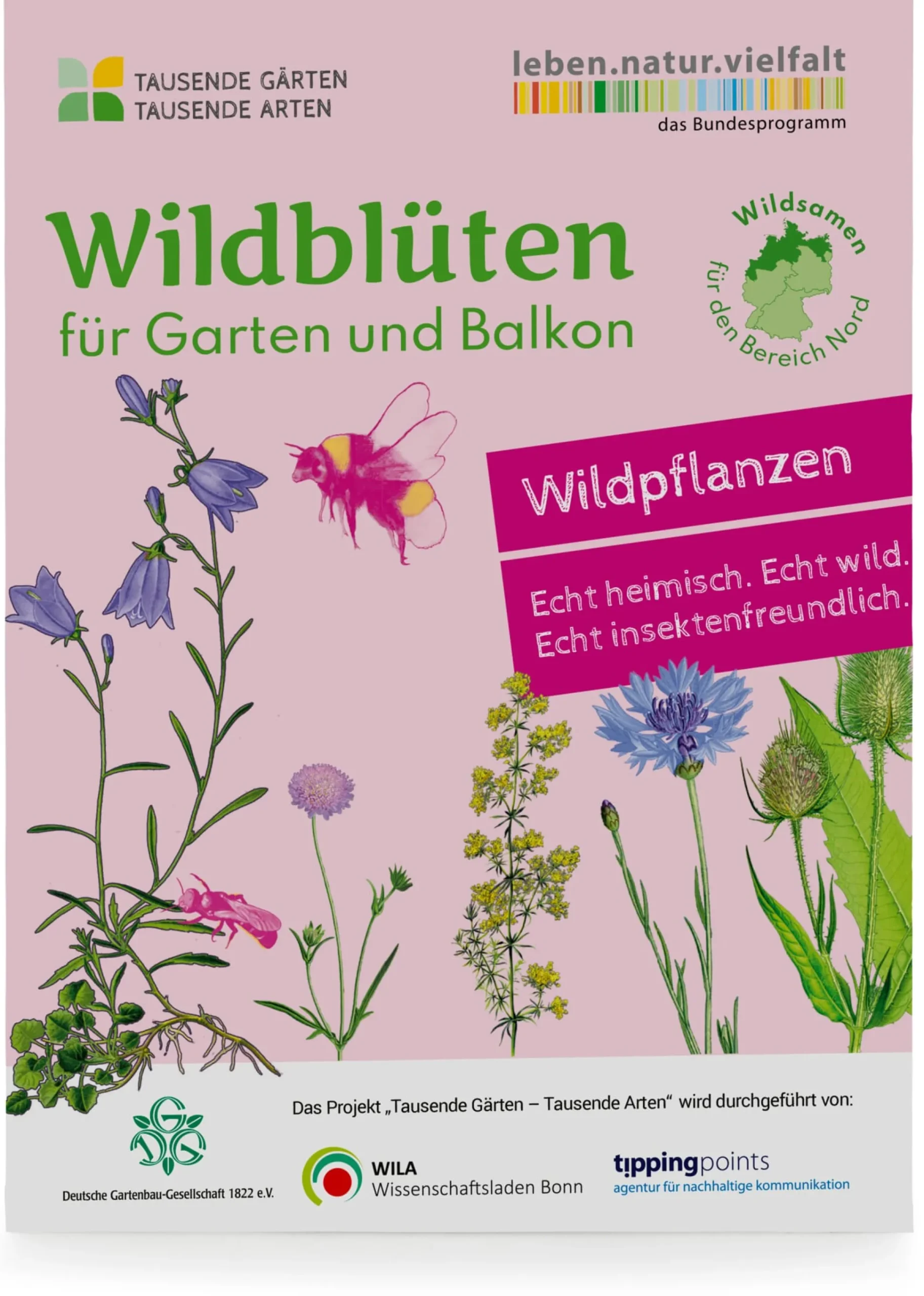 Wildblumen für Balkon und Garten gebietsheimisch