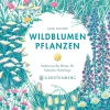 Wildblumen pflanzen - Nektarreiche Blüten für hübsche Nützlinge