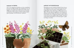 Wildblumen pflanzen - Nektarreiche Blüten für hübsche Nützlinge