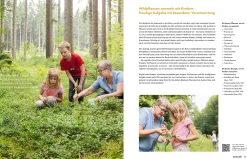 Wildkräuter