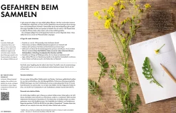 Wildkräuter
