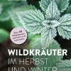 Wildkräuter im Herbst und Winter