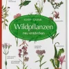Wildpflanzen neu entdecken