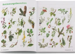 Wildpflanzen neu entdecken